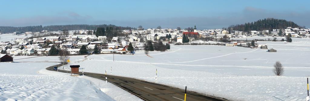 Hotel-Gasthof Zum Oberen Wirt Regen Exterior foto
