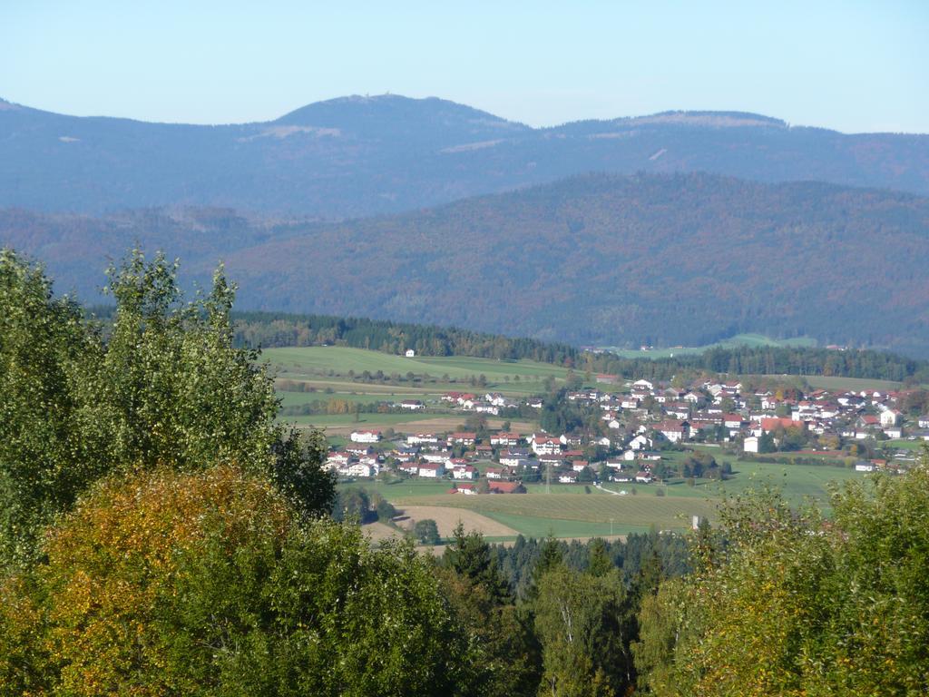 Hotel-Gasthof Zum Oberen Wirt Regen Exterior foto